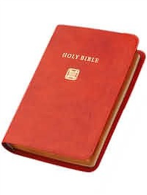NIV Pocket Bible: Russet Calfskin leather, British Text