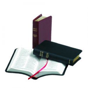 TNIV Personal Bible: Black, French Morocco Leather