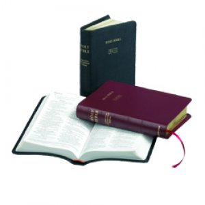 TNIV Popular Bible: Black, French Morocco Leather