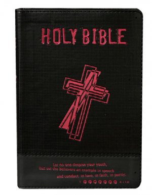 NRSV Teen Gift Bible: Black, Imitation Leather