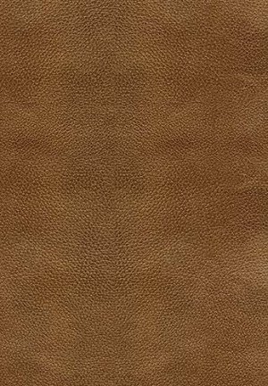 NKJV Study Bible: Bronze, Bonded Leather