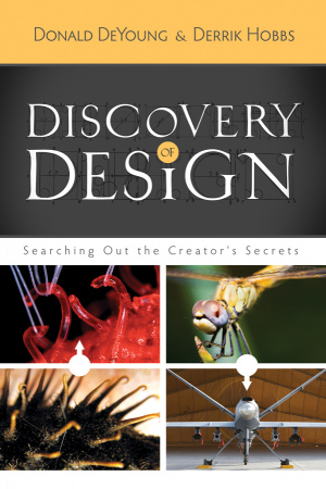 Discovery Design