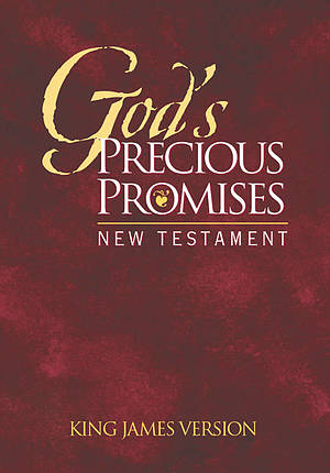 KJV New Testament : Burgundy Paperback