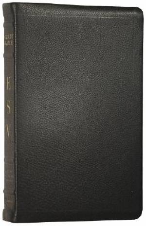 ESV Study Bible: Black, Premium Calfskin