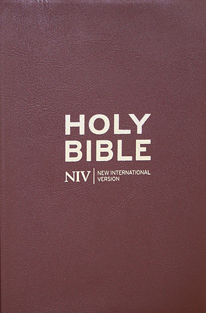 NIV Pocket Flexibind Chocolate Bible