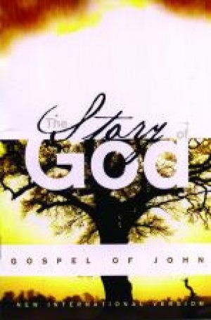 NIV Gospel of John, Story of God: Paperback, Large Print