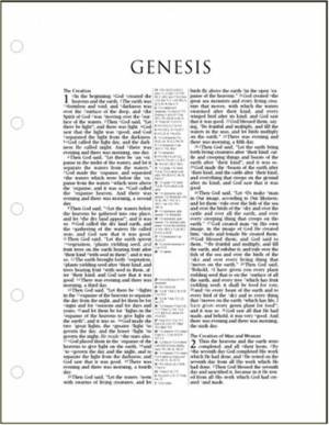 NASB Loose-Leaf Bible: (pages only) 