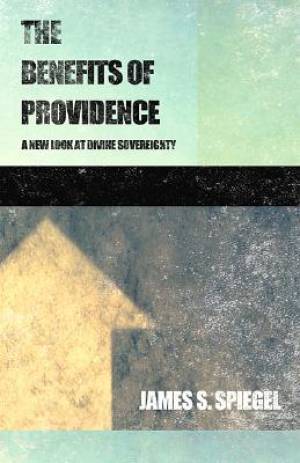 The Benefits of Providence