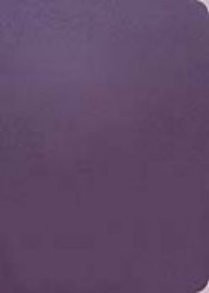 The Message Remix 2.0: Purple, Leatherlook