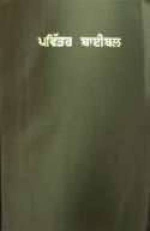 Punjabi Old Version New Testament