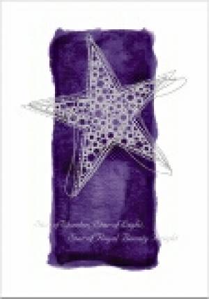 Star Christmas Card - Pack of 10