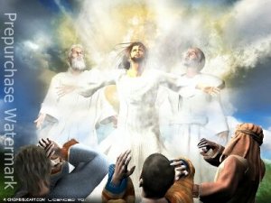 The Transfiguration