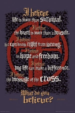 What Do You Believe Poster - Large