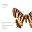 Messiah, Premier Release 11, CD