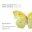 Premier Release 12 Bruch Violin Concertos
