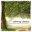 Calming Classics Cd