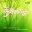 Music for Reflective Prayer CD