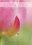 Thinking of You Cards - Pack of 4