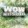 Wow Hits 2010