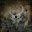 Storm The Gates Of Hell Special Edition CD