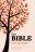 NRSV Bible with Apocrypha: Hardback, Anglicized