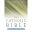 NAB Catholic Personal Study Bible: Paperback