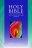 NRSV Bible: Hardback (British Text)