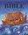 Lion Bible for Children