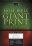 KJV Giant Print Bible: Black, Bonded Leather, 