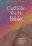 NRSV Catholic Youth Bible: Paperback