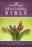 NKJV The Women Of Faith Devotional Bible