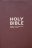 NIV Pocket Flexibind Chocolate Bible