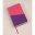 KJV Kids Study Bible: Violet/Pink, Imitation Leather