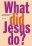 What Did Jesus Do