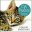 Cat Psalms