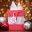 Jesus Is The Gift Medium Red Gift Bag