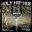 Holy Hip Hop Vol 2: Taking the Gospel to the Streets