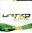 Best Friend - United Live CD