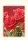 On Your Ruby Anniversary Card - Pack of 6
