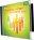 The Best Worship Songs For The Church...Ever!