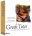 Greek Tutor Windows CD ROM