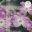 At Easter Cards - Pack of 4