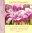 Grace  Easter Blessings Cards - Pack of 4