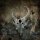 Storm The Gates Of Hell CD