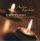 Perfect Light Cd - Reflective Music for Piano