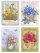 Assorted Garden Of Blessing Birthday Cards - Pack of 12