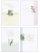 Assorted Gift Of The Spirit Sympathy Cards - Pack of 12