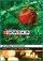 IWORSHIP CHRISTMAS DVD