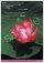 Love comes naturally Poster