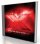 X2011 - A Christian Rock Compilation 